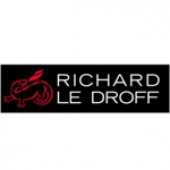 Каминные топки Richard Le Droff